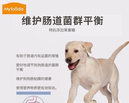 什么药可以让母狗不怀孕？安全避孕方法有哪些？