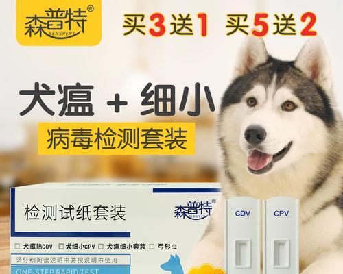 泰迪犬瘟热的症状有哪些？如何治疗和预防？