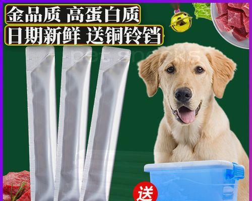 泰迪犬吐狗粮怎么办？如何快速识别原因并处理？