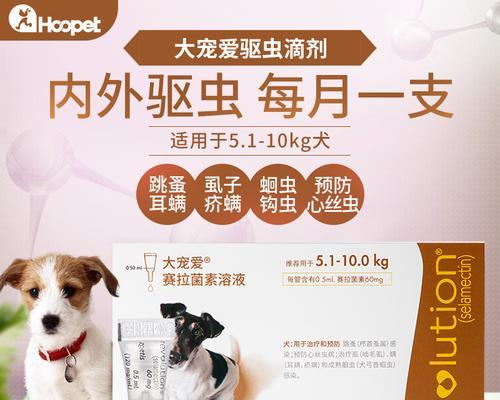 泰迪犬用什么药驱虫？如何安全有效地进行体内驱虫？