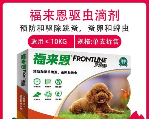 泰迪犬用什么药驱虫？如何安全有效地进行体内驱虫？