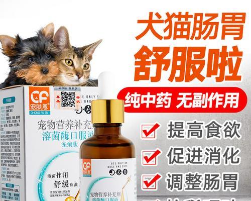 小狗吃什么药能治吐？呕吐原因及正确用药指南？