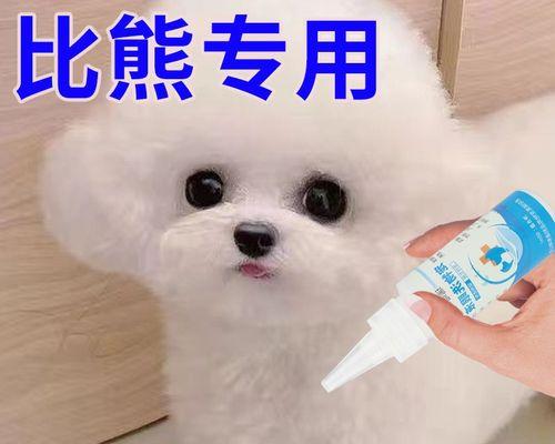 小狗的泪痕怎么去掉？有效去除泪痕的家用方法有哪些？