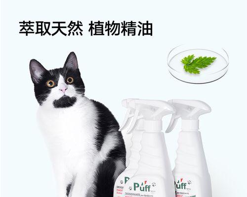 小狗叼着猫屎怎么办？如何正确处理这种情况？