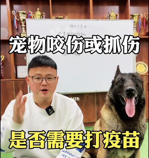 小狗咬伤眼睛怎么办？紧急处理和预防措施是什么？