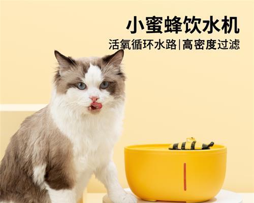 小猫不吃东西只喝水正常吗？可能的原因和解决方法是什么？