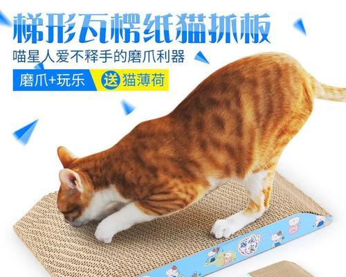 小猫为什么不让摸还用爪子挡？如何正确与猫咪互动？