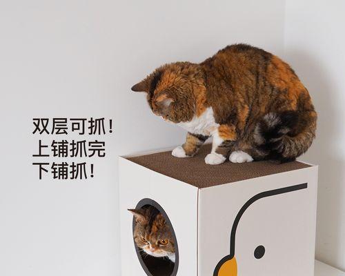 小猫为什么不让摸还用爪子挡？如何正确与猫咪互动？