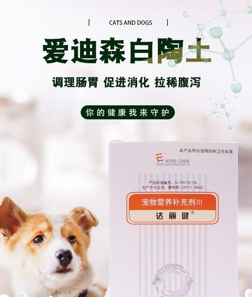 小猫肠胃炎怎么治疗？有效家庭护理方法有哪些？