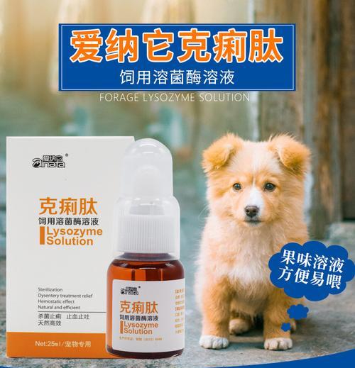 小猫吃什么消炎药好？如何正确选择宠物消炎药物？