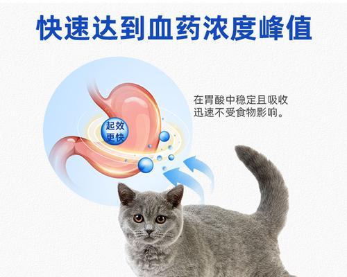 小猫吃什么消炎药好？如何正确选择宠物消炎药物？