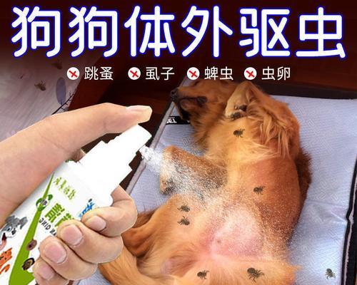 小猫吃完打虫药中毒怎么办？中毒症状和急救措施是什么？