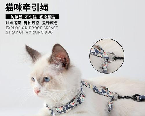 小猫牵引绳自制教程？自制小猫牵引绳需要哪些材料和步骤？