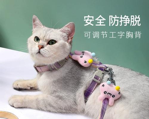 小猫牵引绳自制教程？自制小猫牵引绳需要哪些材料和步骤？