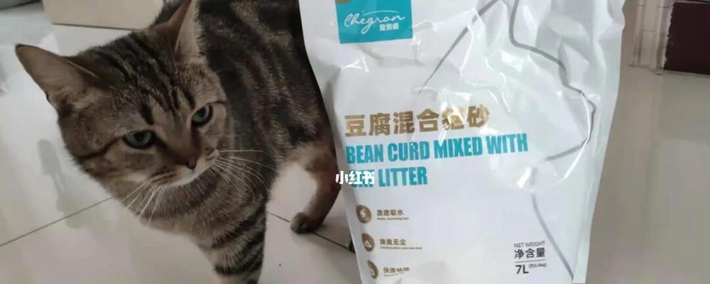 小猫对粉尘大的猫砂怎么办？如何选择适合的猫砂？