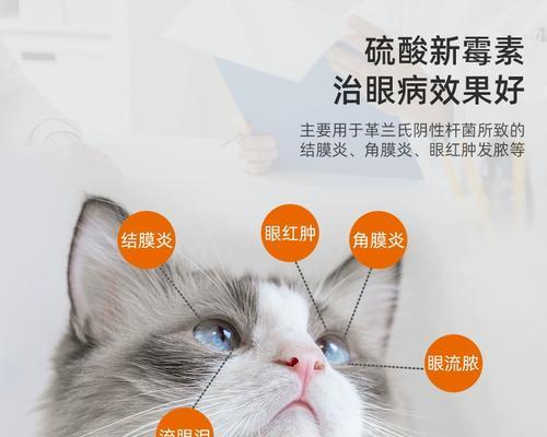 小猫多大能用眼药水？使用眼药水的正确时机和方法是什么？