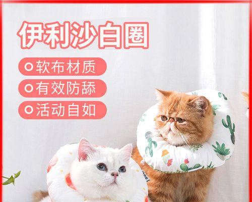 小猫防舔头套怎么做？自制教程和常见问题解答？