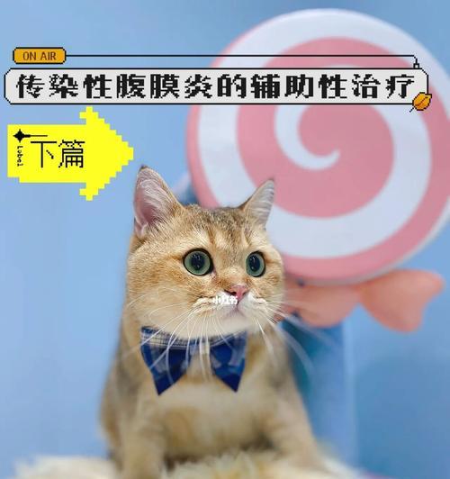 小猫腹膜炎能治好吗？如何及时发现和治疗？