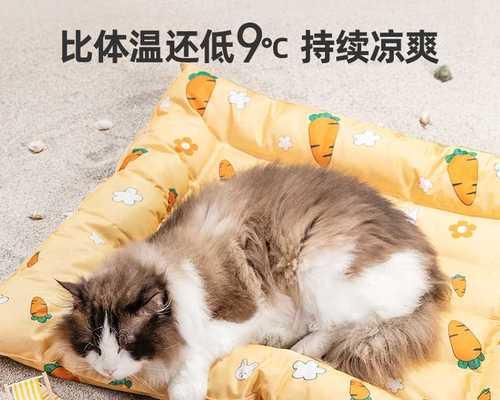 小猫刚到家不睡猫窝怎么办？如何训练它适应新环境？