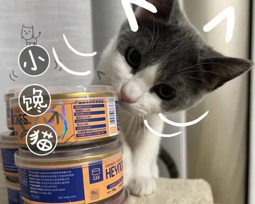 小猫罐头怎么选？哪些品牌适合不同年龄的猫咪？