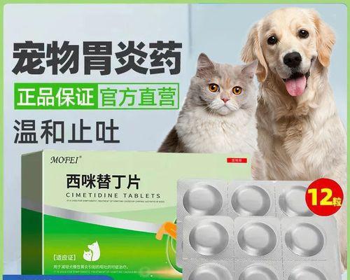 小猫在新环境拉稀怎么办？如何快速适应新家？