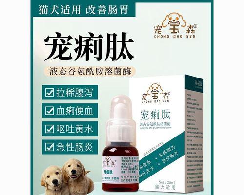 小猫在新环境拉稀怎么办？如何快速适应新家？