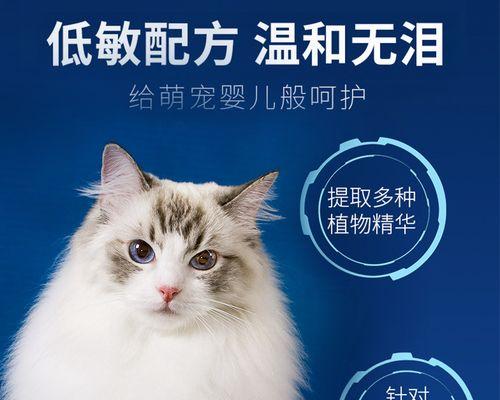 小猫四十天能洗澡吗？洗澡的最佳时间是什么时候？