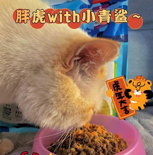 小猫太爱吃食怎么办？如何控制猫咪的饮食习惯？