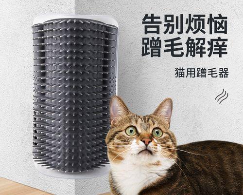 小猫三天未排便是什么原因？如何解决？