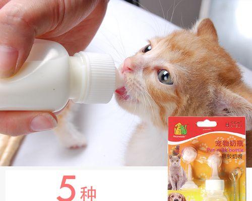 小猫喂奶要用奶瓶吗？正确喂养小猫的方法是什么？