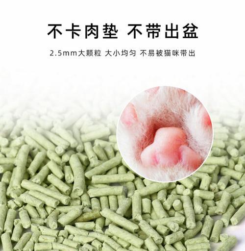 小猫喜欢哪一种猫砂？如何选择适合的猫砂品牌和类型？