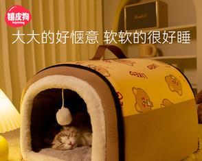 小猫喜欢什么样的窝？如何打造一个温馨的猫窝？