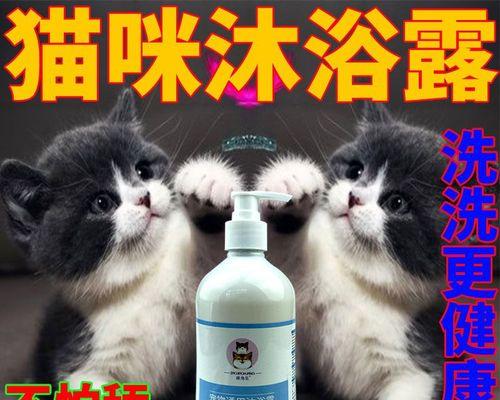 小猫洗澡后怎么处理？如何正确为小猫吹干毛发？