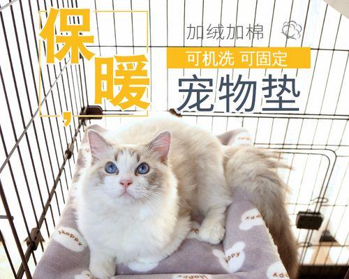 小猫夏天需要保暖吗？如何判断和采取措施？