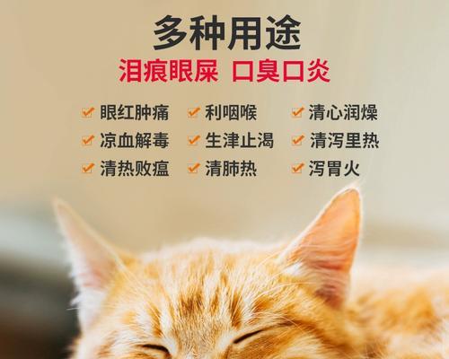 小猫有黄色眼屎口臭怎么办？可能是什么原因？