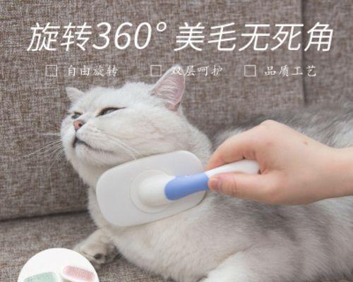 小猫咪多大开始脱毛？脱毛期的护理方法是什么？