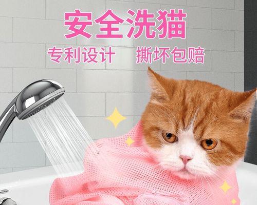 小猫咪多久洗一次澡合适？洗澡频率对猫咪健康有何影响？