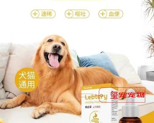 小猫咪拉稀了怎么办？如何快速解决宠物腹泻问题？