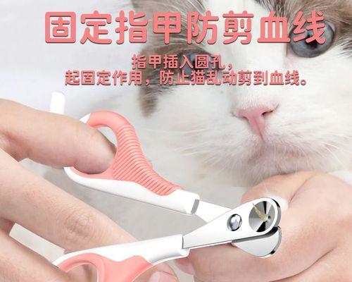 小猫咪指甲尖怎么办？修剪方法和注意事项是什么？