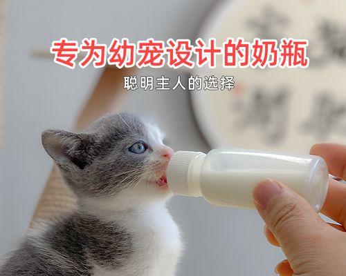 小奶猫能吃多少东西？喂养小奶猫的正确量是多少？