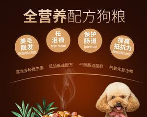 小型犬美毛狗粮怎么选？哪种品牌最有效？