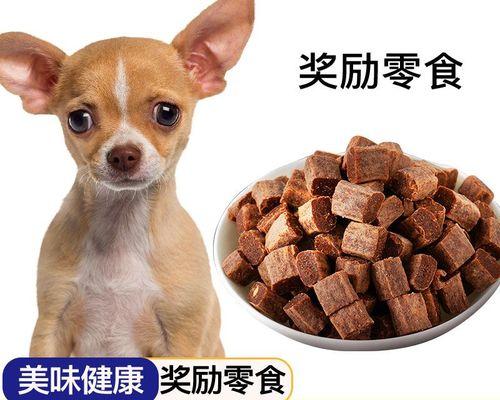 新养的小狗能吃什么？小狗饮食的正确指南是什么？