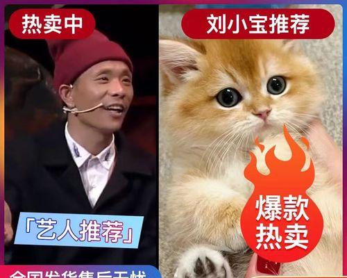 养什么植物对猫咪好？哪些植物对猫咪安全无害？