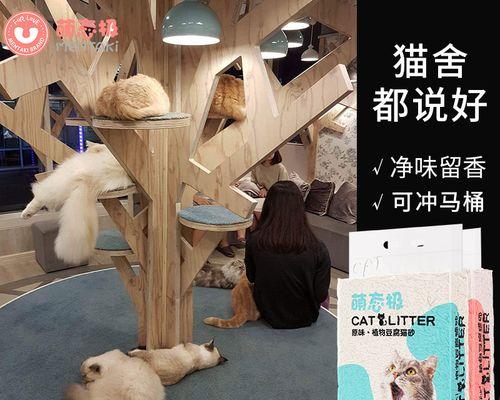 用河沙给猫咪当猫砂好吗？有什么需要注意的？