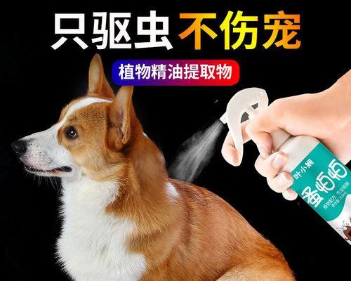 给猫除蚤最有效的方法是什么？如何彻底解决猫的跳蚤问题？