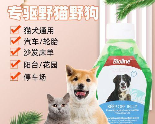 怎么不让猫咪抓沙发？有效防止猫咪抓挠家具的方法是什么？