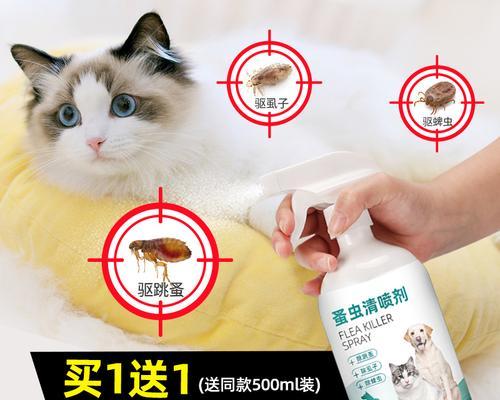 猫咪长虱子怎么办？有效预防方法有哪些？