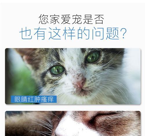 给猫猫擦眼药膏的正确方法是什么？需要注意哪些常见问题？