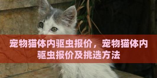 猫咪内外驱虫的最佳方法是什么？多久进行一次？