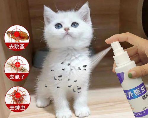 猫咪体外驱虫的最佳方法是什么？步骤和注意事项有哪些？